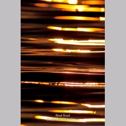 Brad Reed\'s Day 167 of 365 
