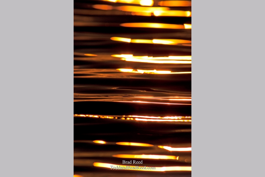 Brad Reed's Day 167 of 365 