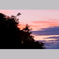 Todd Reed\'s Day 170 of 365 