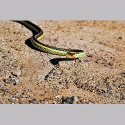 Brad Reed\'s Day 170 of 365 