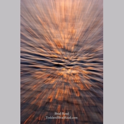 Brad Reed\'s Day 177 of 365 