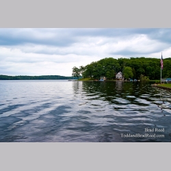 Brad Reed\'s Day 178 of 365 