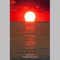 Brad Reed\'s Day 180 of 365 