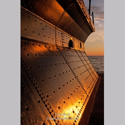 Todd Reed\'s Day 182 of 365 