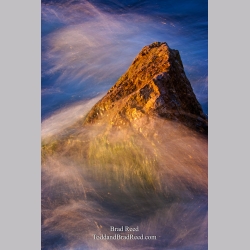Brad Reed\'s Day 182 of 365 