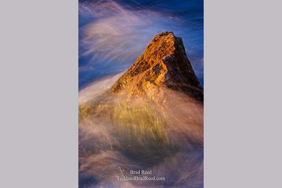 Brad Reed's Day 182 of 365 