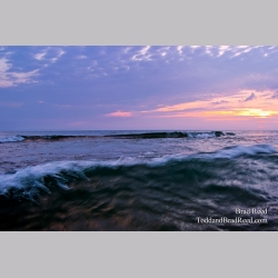 Brad Reed\'s Day 187 of 365 