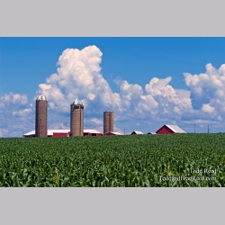 Todd Reed\'s Day 190 of 365 