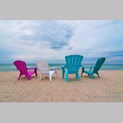 Todd Reed\'s Day 192 of 365 