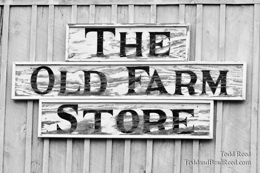 Todd Reed's Day 195 of 365 