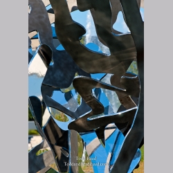Todd Reed\'s Day 198 of 365 