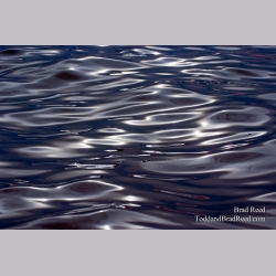 Brad Reed\'s Day 200 of 365 