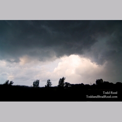 Todd Reed\'s Day 203 of 365