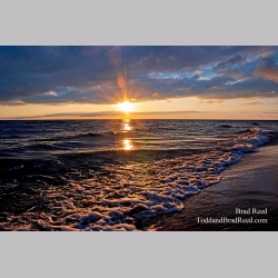Brad Reed\'s Day 205 of 365 