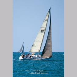 Todd Reed\'s Day 206 of 365 