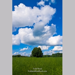 Todd Reed\'s Day 209 of 365 
