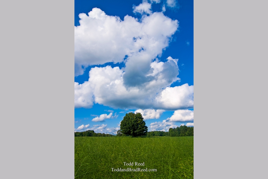 Todd Reed's Day 209 of 365 