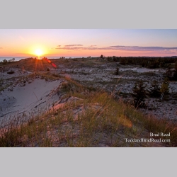 Brad Reed\'s Day 209 of 365 