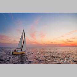 Brad Reed\'s Day 210 of 365 