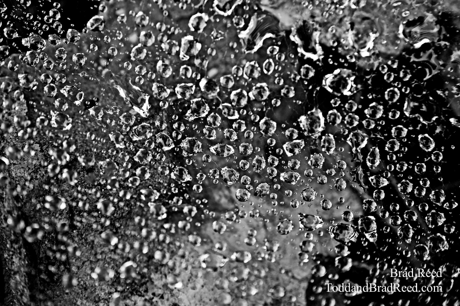 Brad Reed's Day 212 of 365 