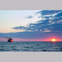 Brad Reed\'s Day 217 of 365 