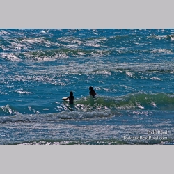 Todd Reed\'s Day 220 of 365 