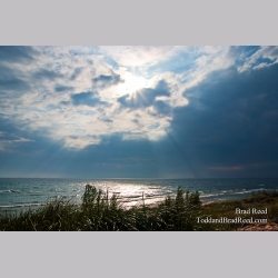Brad Reed\'s Day 220 of 365 