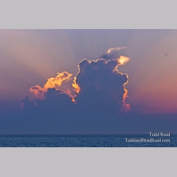 Todd Reed\'s Day 221 of 365 