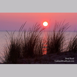 Brad Reed\'s Day 223 of 365 