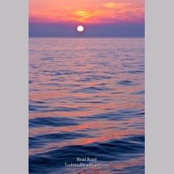 Brad Reed\'s Day 224 of 365 