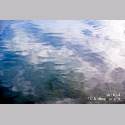 Brad Reed\'s Day 225 of 365 