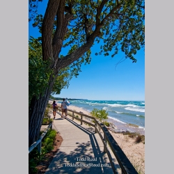 Todd Reed\'s Day 228 of 365 