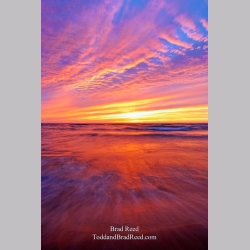 Brad Reed\'s Day 229 of 365 