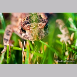 Brad Reed\'s Day 230 of 365 