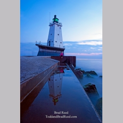 Brad Reed\'s Day 231 of 365 