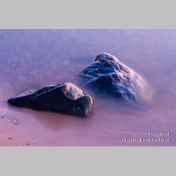 Todd Reed\'s Day 235 of 365 