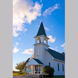 Brad Reed\'s Day 237 of 365 