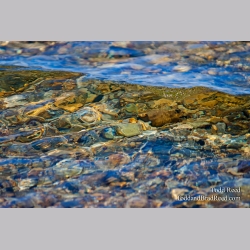 Todd Reed\'s Day 238 of 365 