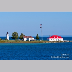 Todd Reed\'s Day 240 of 365 