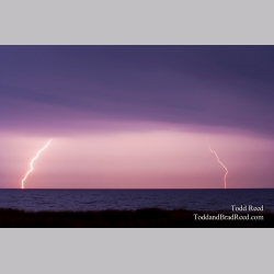 Todd Reed\'s Day 245 of 365 