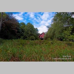 Brad Reed\'s Day 247 of 365 