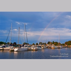 Todd Reed\'s Day 249 of 365 