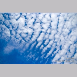 Brad Reed\'s Day 260 of 365 