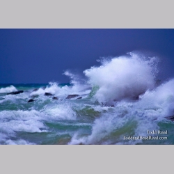 Todd Reed\'s Day 267 of 365 