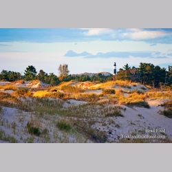 Brad Reed\'s Day 268 of 365 
