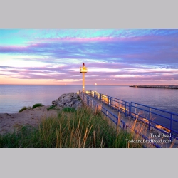 Todd Reed\'s Day 269 of 365 