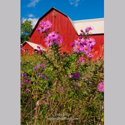 Todd Reed\'s Day 273 of 365 