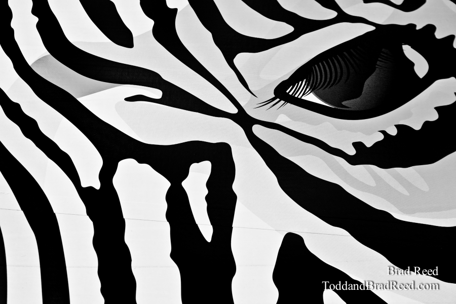 Brad Reed's Day 273 of 365 