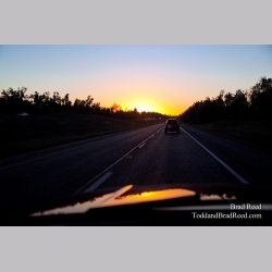 Brad Reed\'s Day 274 of 365 