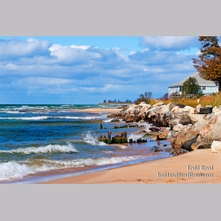 Todd Reed\'s Day 275 of 365 